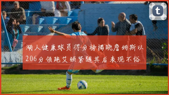 湖人健康球员得分榜揭晓詹姆斯以206分领跑艾顿紧随其后表现不俗
